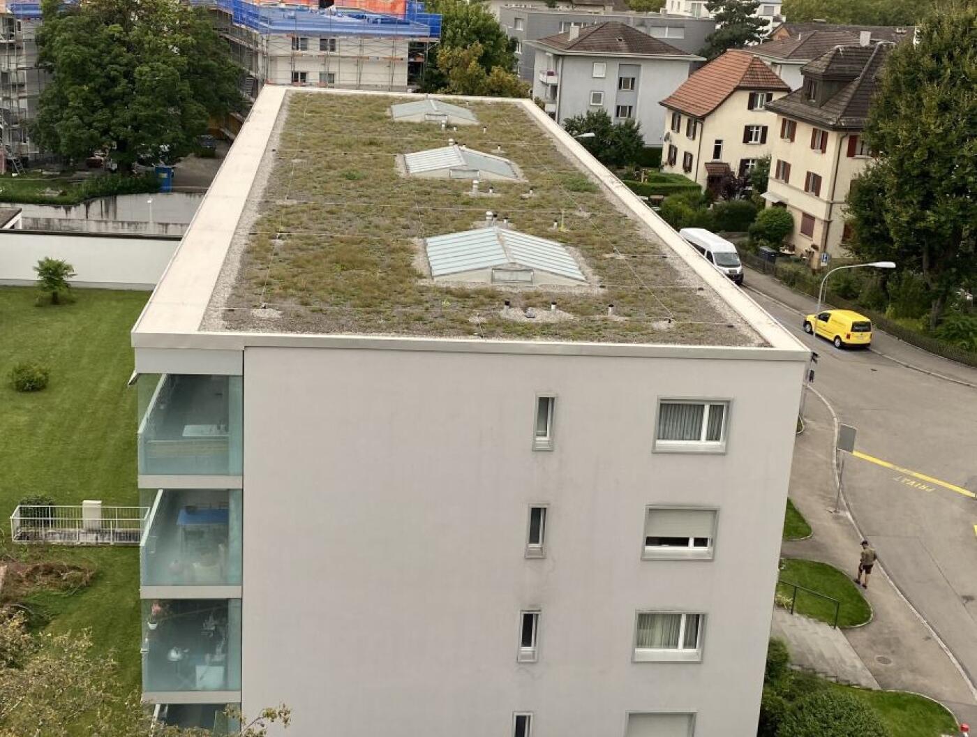 Referenz, Zürich, Blauäcker