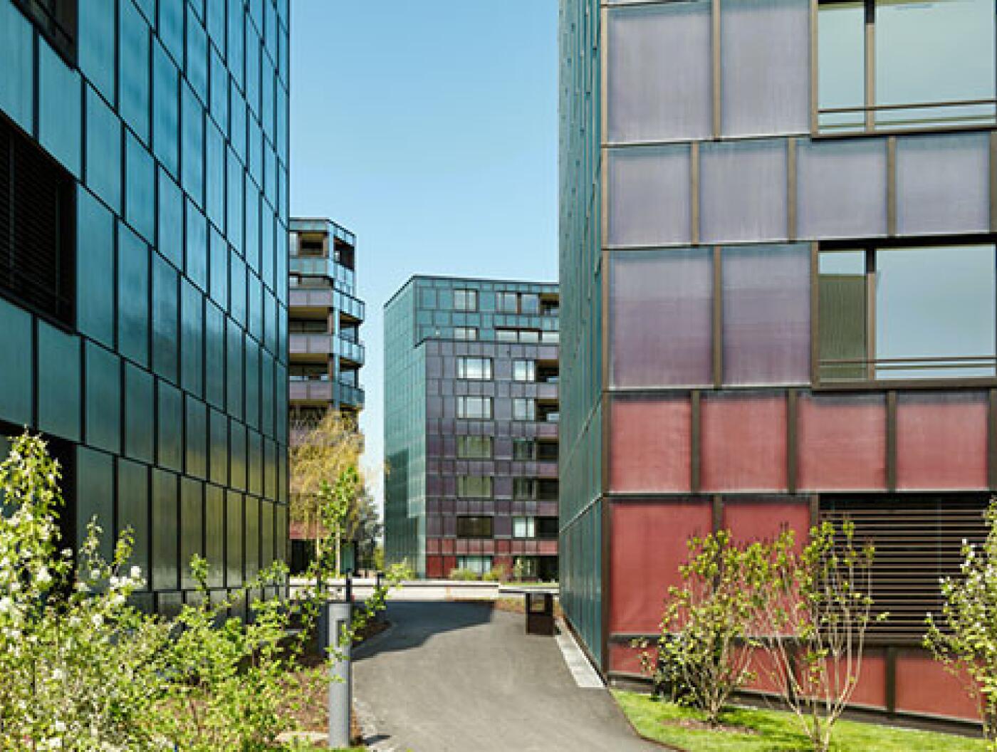 Zürich Unterstrass, WÜB Guggach