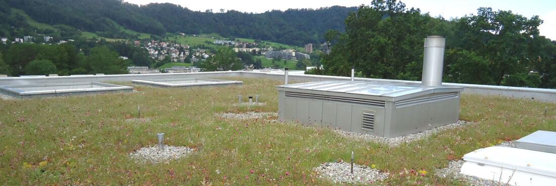 Adliswil, Dietlimoos Ahornweg BF 1 + 3