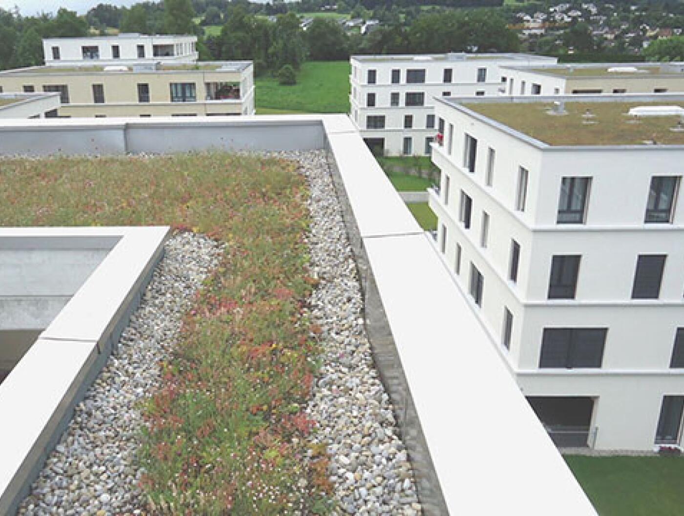 Adliswil, Dietlimoos Ahornweg BF 1 + 3