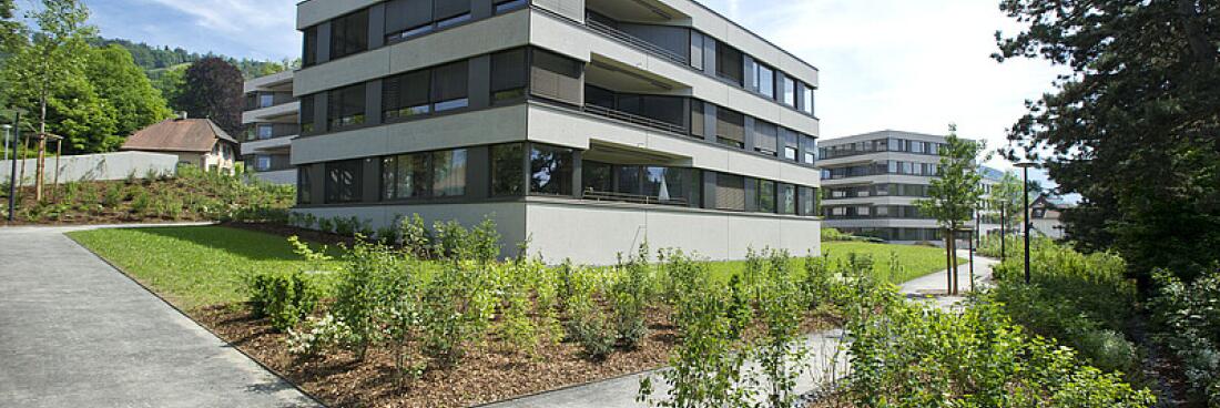 Zug, Zentrum Frauensteinmatt